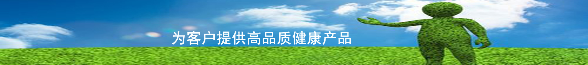 技术服务